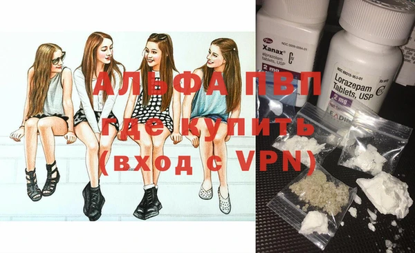 прущие грибы Архангельск