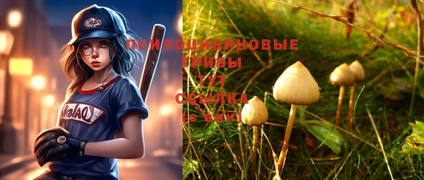 таблы Липки